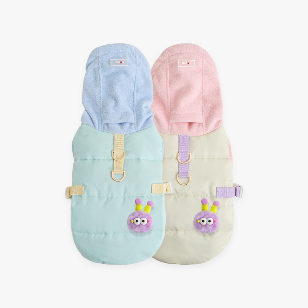 ��ǰ ������