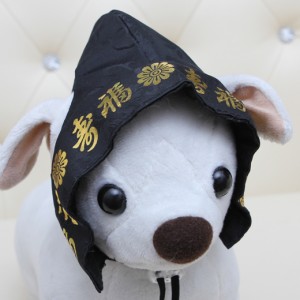 ǰ 